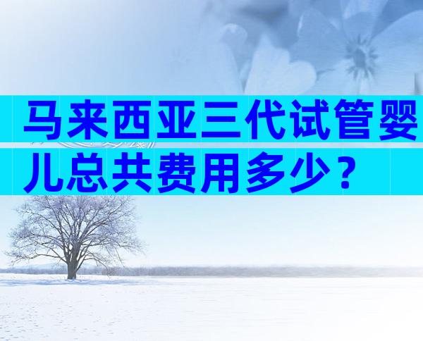 马来西亚三代试管婴儿总共费用多少？