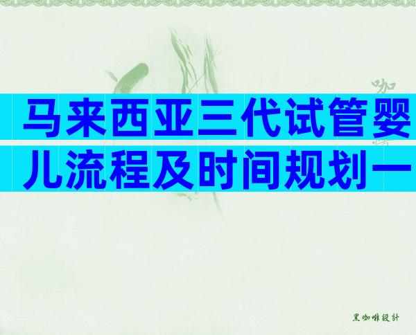 马来西亚三代试管婴儿流程及时间规划一览！