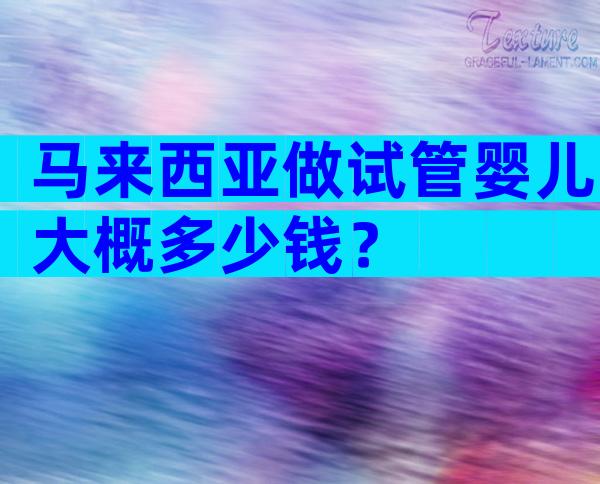 马来西亚做试管婴儿大概多少钱？