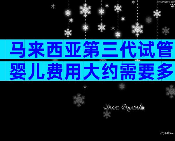 马来西亚第三代试管婴儿费用大约需要多少？一个周期需要准备6万元