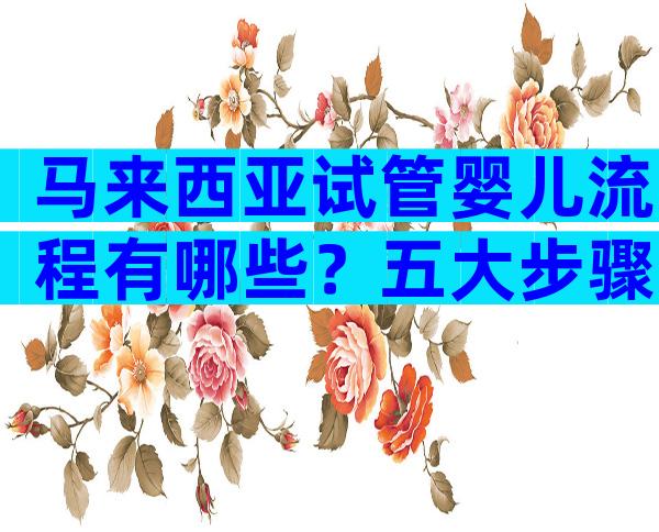 马来西亚试管婴儿流程有哪些？五大步骤一文说清