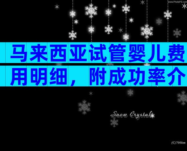 马来西亚试管婴儿费用明细，附成功率介绍!