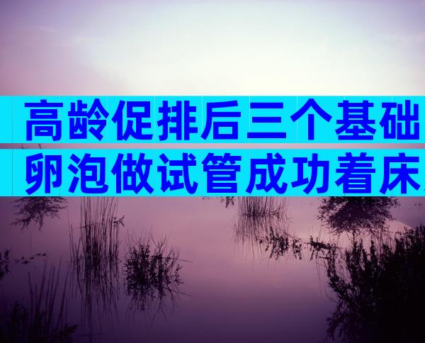 高龄促排后三个基础卵泡做试管成功着床几率大吗？