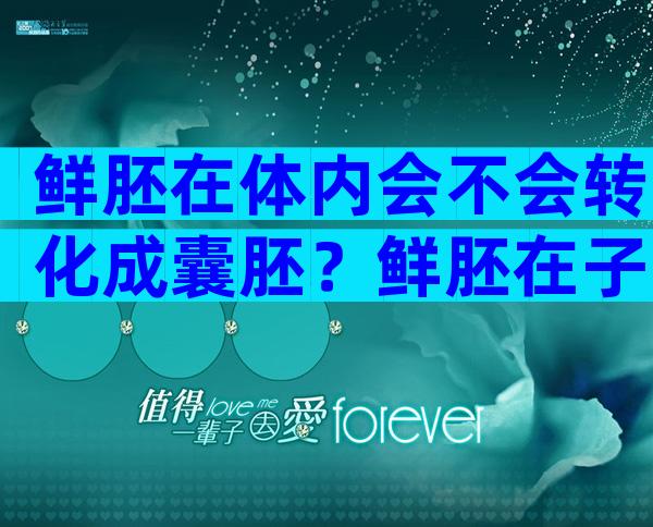 鲜胚在体内会不会转化成囊胚？鲜胚在子宫里会变成囊胚吗？