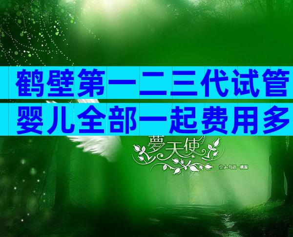 鹤壁第一二三代试管婴儿全部一起费用多少？有私立医院吗