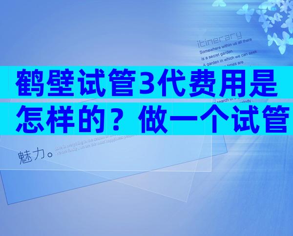 鹤壁试管3代费用是怎样的？做一个试管婴儿多少钱